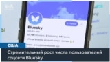 Bluesky. Куда уходят пользователи соцсети Х? 